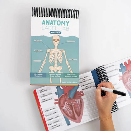 1Pcs Human Body Structure, Intelligent Organ Assembly, Skeleton Construction, Anatomical Coils, This Label Workbook